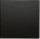 Peha Badora mattschwarze Wippe für Umschalter – 4603710