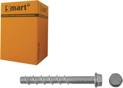 Pgb-europa smart | betonschraube s-bsz 12x15x80 znlamel | 25 Stück sm0bsz0141200803