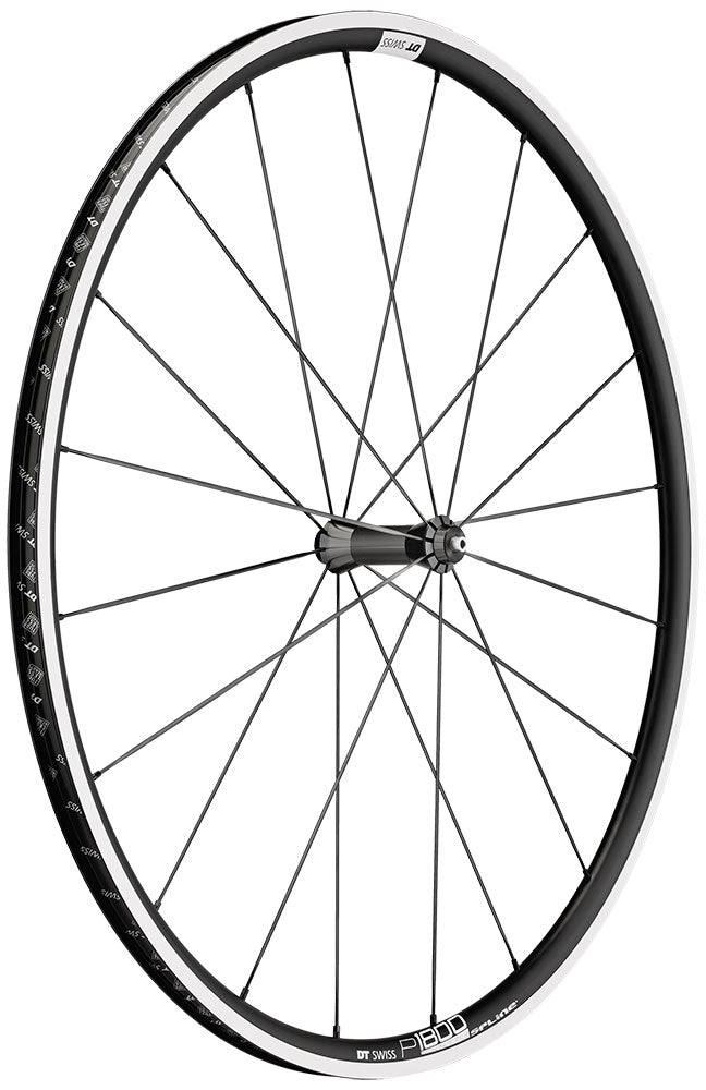 DT Swiss P 1800 Spline 23 mm Vorderrad