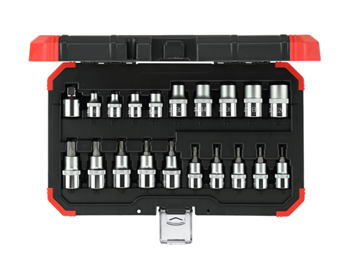 Gedore Red DOPS-Set 1 2 Zoll TX Silber 20-Stück