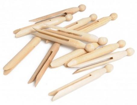 La Droguerie Ecologiquique Waschmaschinen Houten Pins 25st