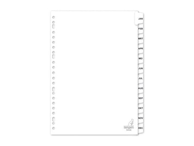 Kangaro-Tabs A4 23 Ringe Jan-Dez-Karton