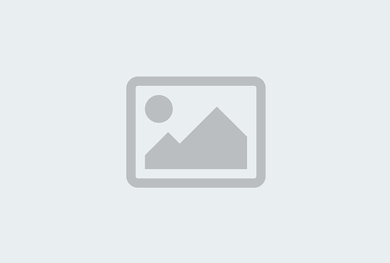Buddex-Enthornungsgerät