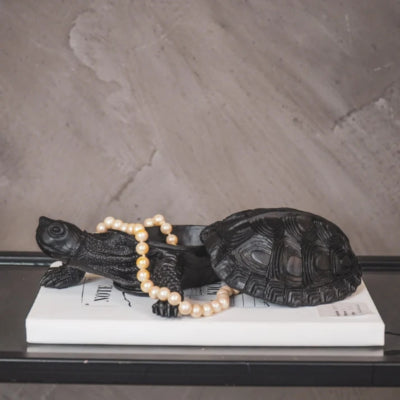 Housevitamin Vorratstopf Schildkröte schwarz 16 cm | 8 Stück