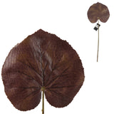 Countryfield Kunstblatt Eichelhäher L 51 cm | 72 Stück - afbeelding 1
