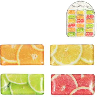 Magnetfrucht-Vitamin-Kick 5,8 cm 4-fach sortiert | 36 Stück