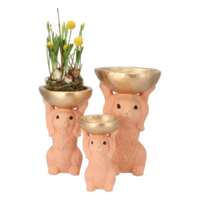 Daan Bugholzschale Hase orange 28 cm | 4 Stück