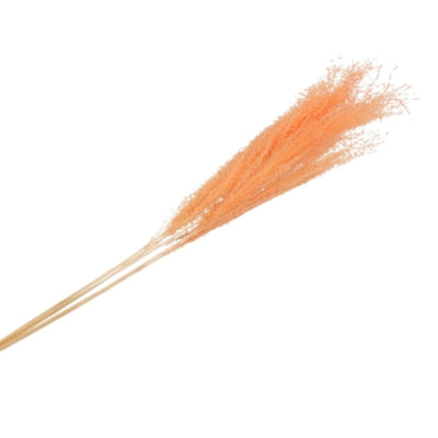 Daan künstlicher Ast aus gebogenem Holz, getrocknetes silbernes Gras, Pfirsich, XL, Orange, 100 cm | 10 Stück
