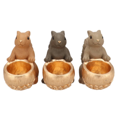 Daan Bugholzschale Jingle Eichhörnchen sitzend braun 22 cm 3-fach sortiert | 6 Stück