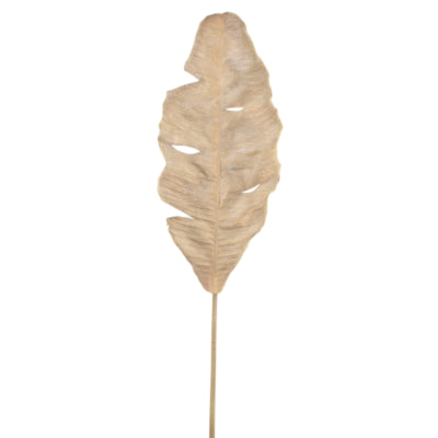 Ptmd künstlicher Zweig Paradiesvogel beige 90 cm | 6 Stück