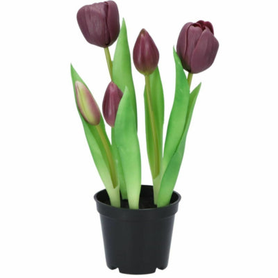 Daan Bugholz Kunstpflanze im Topf Tulpe 26 cm | 6 Stück
