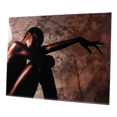 Ptmd Glasmalerei Savanne von Mönch limitierte Auflage 130 x 100 cm