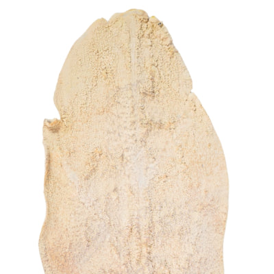 Künstlicher Palmenzweig beige 103 cm | 12 Stück