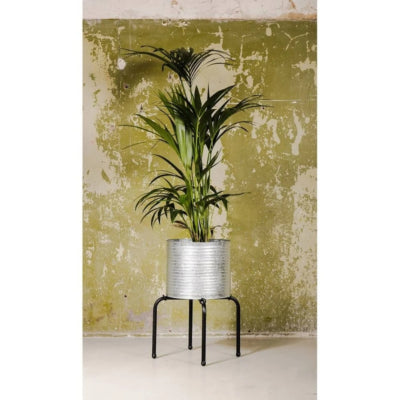 Senza Blumentopf auf Standardmetall 51 cm | 4 Stück