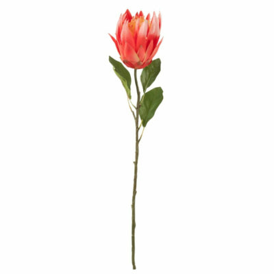 J-line Kunstblume Protea rot 68 cm | 6 Stück