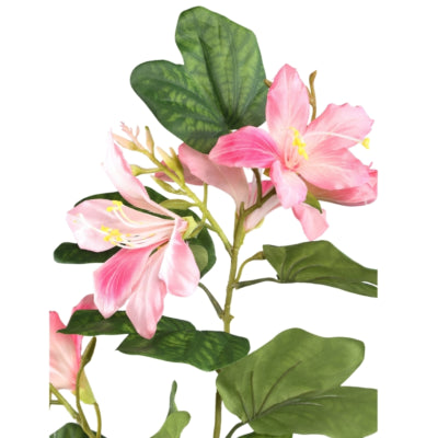 Ptmd Kunstblume Bauhinia rosa 85 cm | 6 Stück