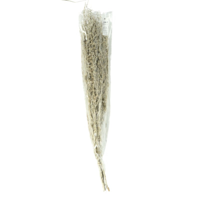 Bündel getrocknetes Chiligras weiß 85-95 cm | 24 Stück