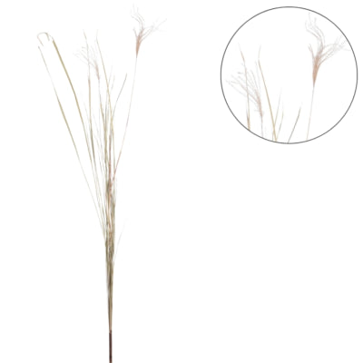 Trockenzweig Pampas natur 150 cm | 10 Stück