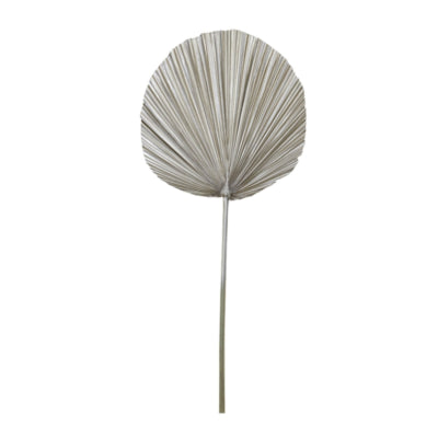 Lichtlebende Licht- und Lebensblattplantae hellgoldfarben 87 cm | 12 Stück