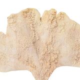 Künstlicher Zweig Ginkgoblatt beige 97 cm | 24 Stück - afbeelding 2