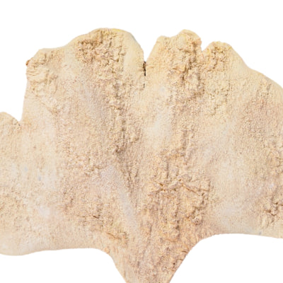 Künstlicher Zweig Ginkgoblatt beige 97 cm | 24 Stück