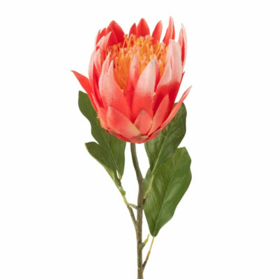 J-line Kunstblume Protea rot 68 cm | 6 Stück