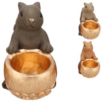 Daan Bugholzschale Jingle Eichhörnchen sitzend braun 22 cm 3-fach sortiert | 6 Stück