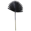 Lichtlebendes Licht und lebendes Blatt Plantae schwarz 78 cm | 12 Stück