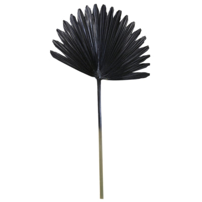 Lichtlebendes Licht und lebendes Blatt Plantae schwarz 78 cm | 12 Stück