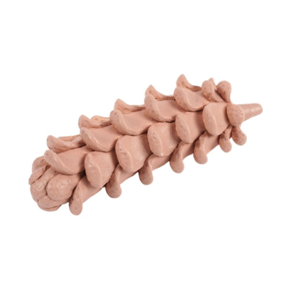 Skulptur Tannenzapfen Terra 21 cm | 8 Stück