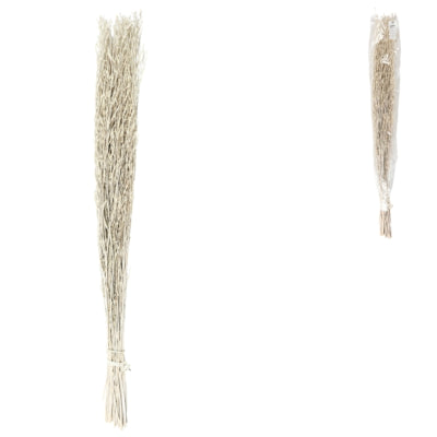 Bündel getrocknetes Sarasgras weiß 110 cm | 24 Stück