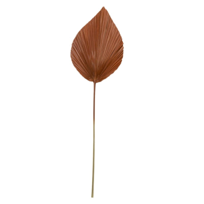 Lichtlebendes Licht und lebendes Blatt Plantae braun 90 cm | 12 Stück