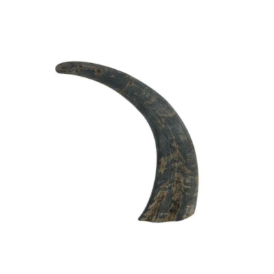 Büffelhorn 25 cm | 24 Stück