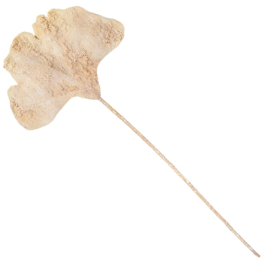 Künstlicher Zweig Ginkgoblatt beige 97 cm | 24 Stück