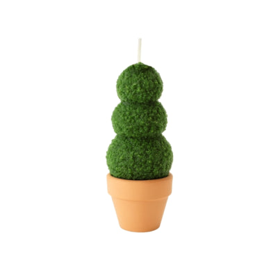 Kerze Buchsbaum im Topf 6 x 13 cm | 12 Stück