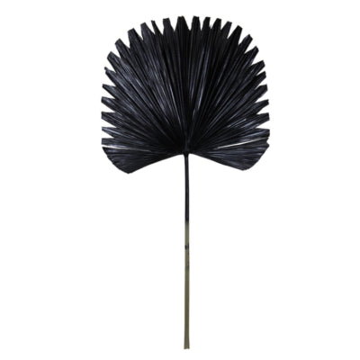 Lichtlebendes Licht und lebendes Blatt Plantae schwarz 91 cm | 12 Stück