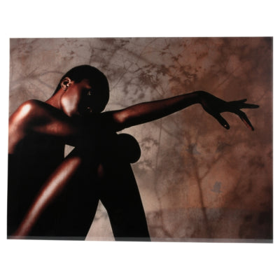 Ptmd Glasmalerei Savanne von Mönch limitierte Auflage 130 x 100 cm