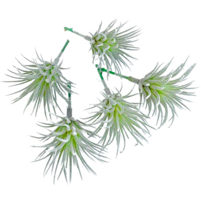 Kunstpflanze Tillandsia grün 7,5 cm 5er Set | 24 Stück