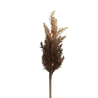 Countryfield künstlicher Zweig Astilbe LED auf Batterie braun 90 cm | 12 Stück