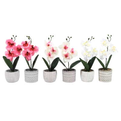 Künstliche Orchidee im Topf 28 cm 6-fach sortiert | 12 Stück