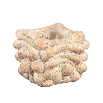 Ptmd Blumentopf gezeichnet xs creme 12 cm | 16 Stück