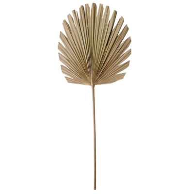 Lichtlebendes Licht und lebendes Blatt Plantae natur 103 cm | 12 Stück