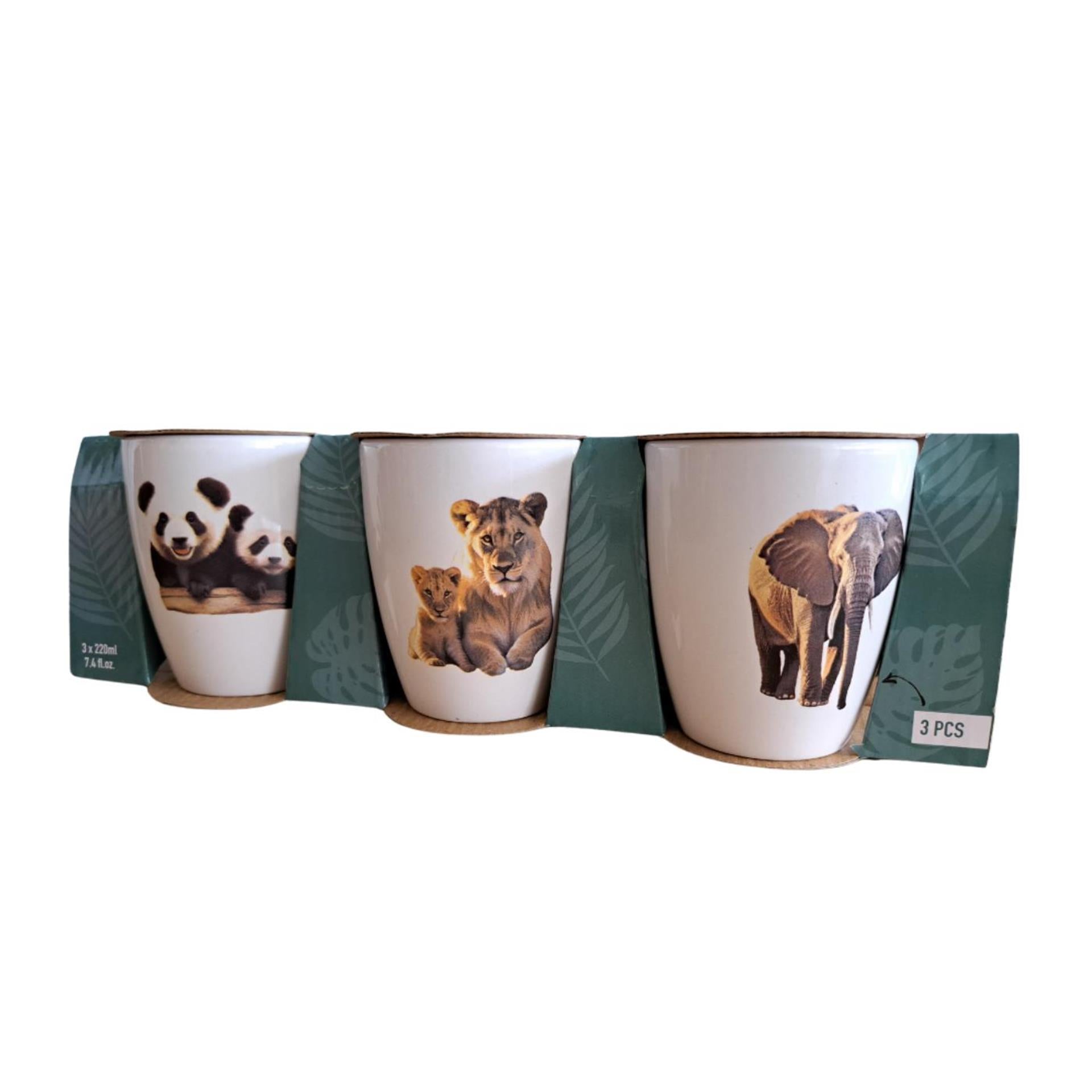Becher Dschungel, 3 3