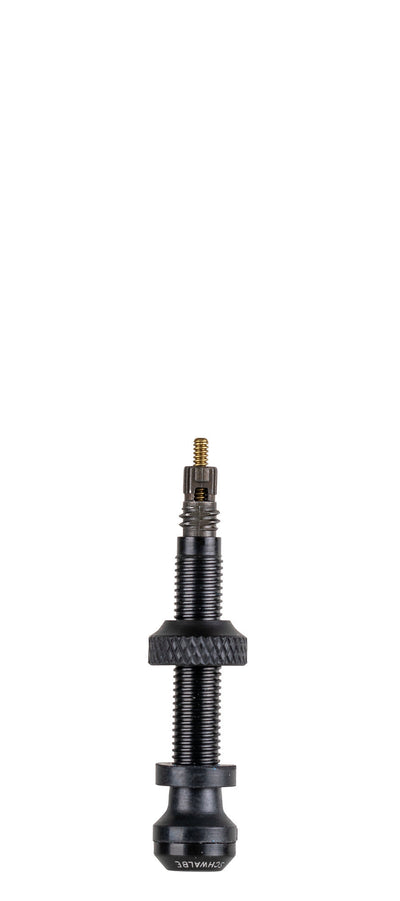 Tubeless Ventil Schwalbe 40 mm (2 Stücke)