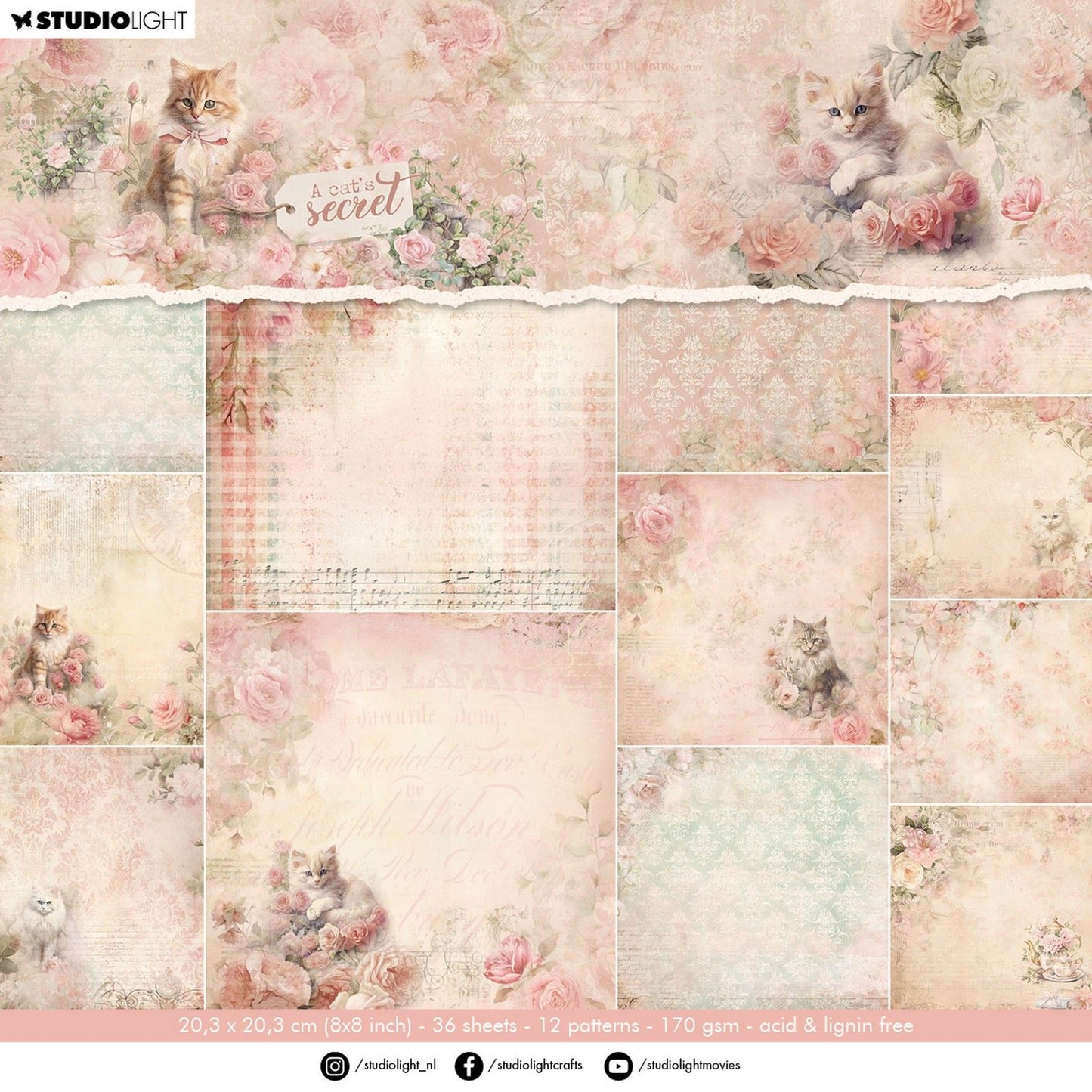 Studiolicht • Das Geheimnis einer Katze, Designer-Papierblock-Hintergrundpapier