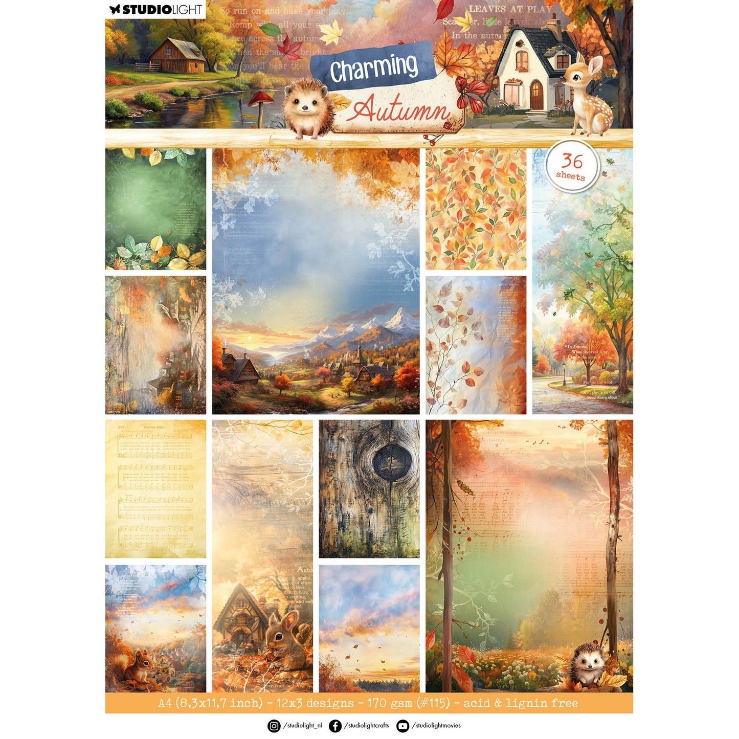 Studiolicht • Charmante Herbst-Designer-Papierblock-Hintergrundpapiere