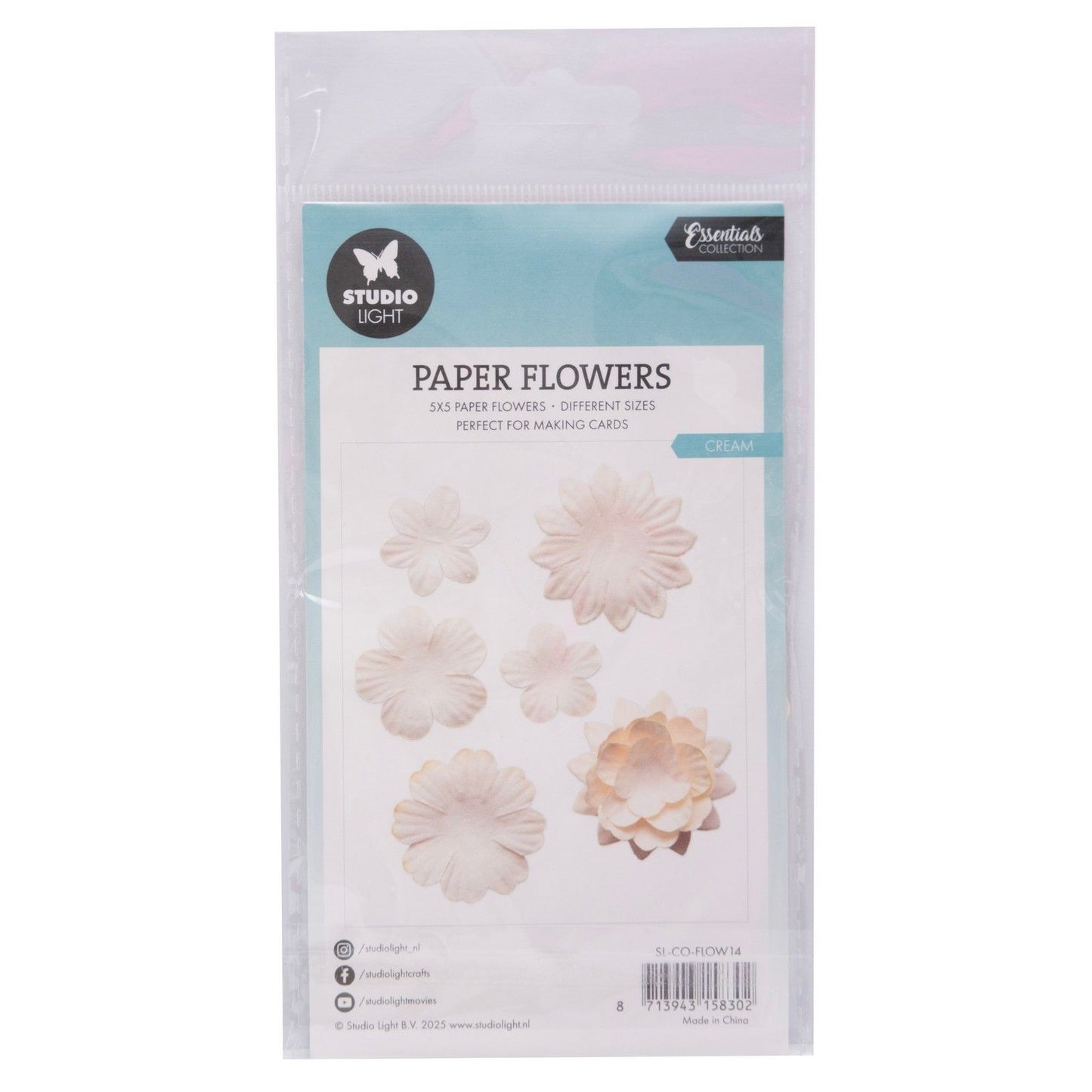 Studiolicht • Papierblumen 25 Stück creme