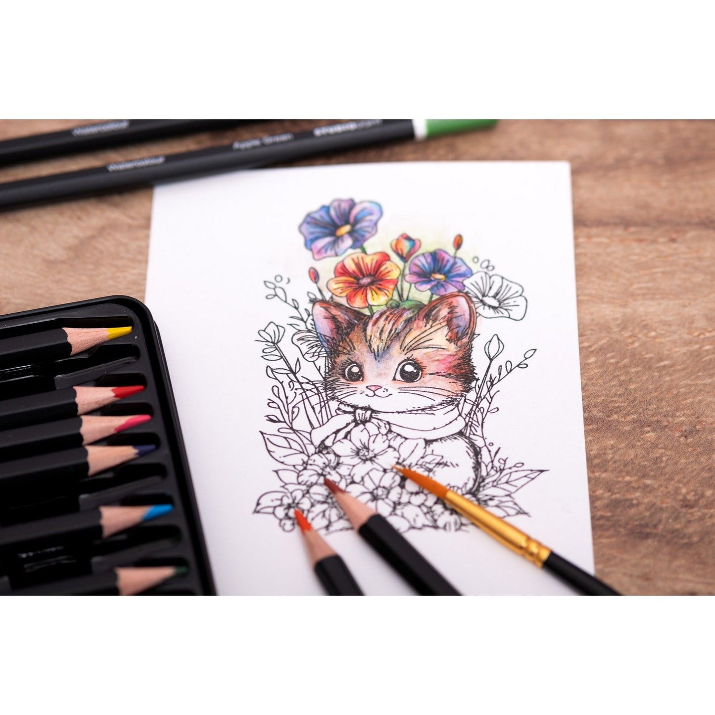 Studioleuchte • Essentials Bleistifte Aquarellstifte 12tlg