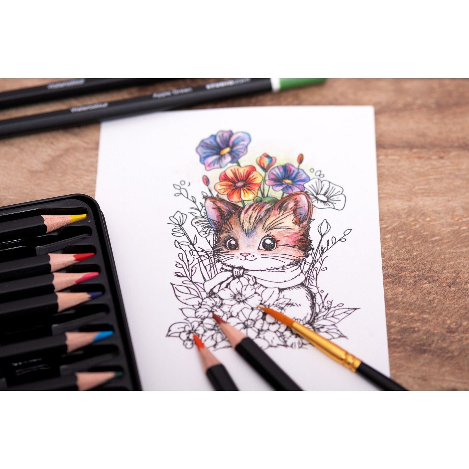 Studioleuchte • Essentials Bleistifte Aquarellstifte 12tlg