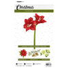 Studiolicht • Essentials-Maskenschablone Amaryllis